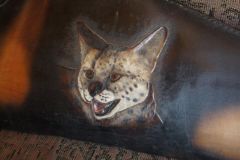 Serval Cat -Africa