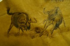 Wildebeest