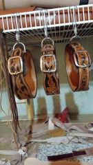 Some Dog Collars