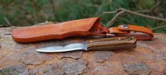 Knives Web Size (4)