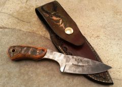 Ram Horn Caper