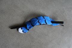 Bluejay feather Barrett hair clip