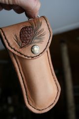 Case with PineCone