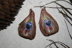 Peacock Earrings