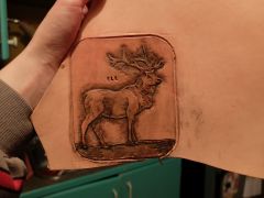Elk