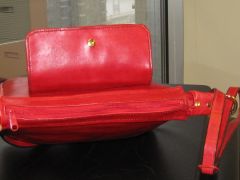 First purse