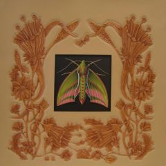 A ELEPHANT IN MY BORDER