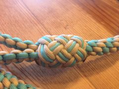 Dog Leash 3