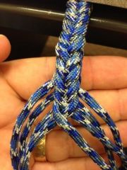 Lead Rope 3