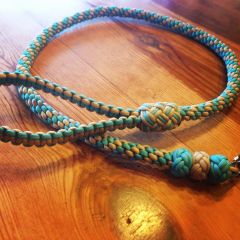 Dog Leash