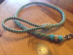 Dog Leash 2
