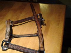 my first harness