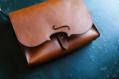 Violin bag