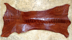 OstrichLeg Cognac Home