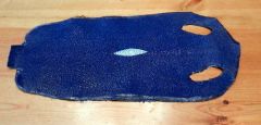 Royal Blue Stingray