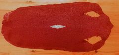 Blood Red Stingray