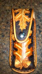 SteveSheath2