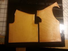 Wrist Brace cut pieces