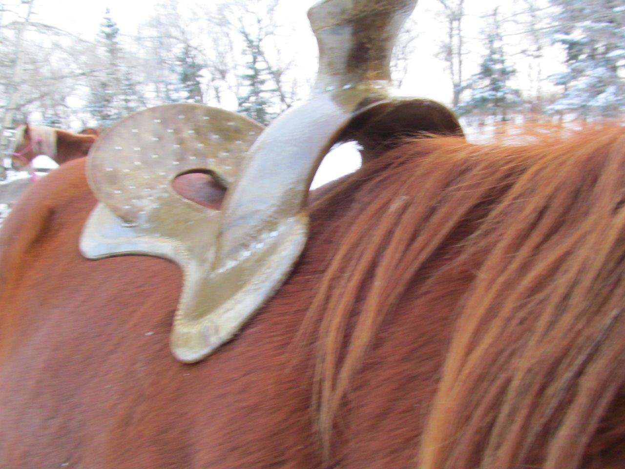 Second Saddle Project