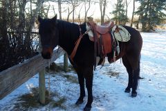 hoss 01