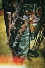 Detail of belt