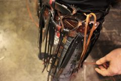 Yet another detail of belt