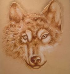 wolf