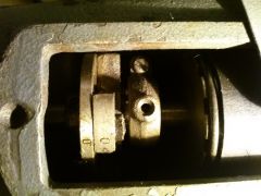 CAM00765 (Medium)