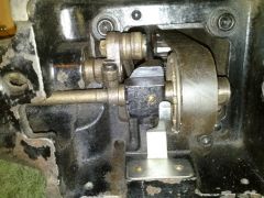 CAM00754 (Medium)