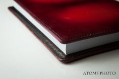 Journal Cover