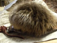 Beaver hair on hide