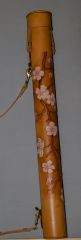 Tube Case, Violin
