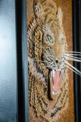 Tiger Portrait
