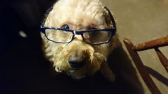 I see you!