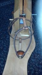 Dog Harness