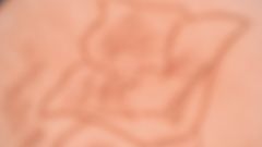 DSCF2086