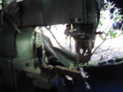 IMG 0067