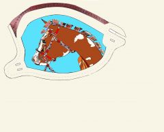 Left side of Pony Saddle Seat ART
