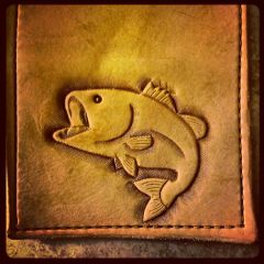 Card Wallet