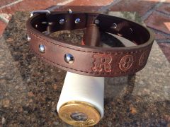 Dog collar