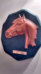 Horse picture