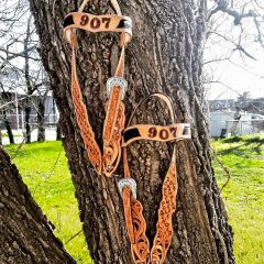 Award Headstalls