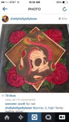 Skull and Snake Portfolio
