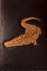 Crocodile 2