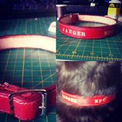 New collar