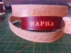 Dog collars
