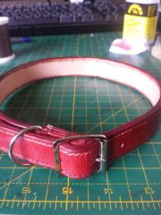 finished dog collar