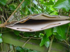 Bag "Leaf"