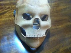 Skull