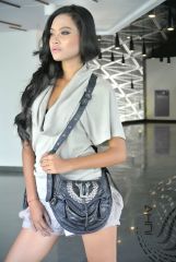low slung double purse saddlebags
